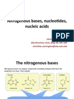 Nitrogenous Bases, Nucleotides, Nucleic Acids