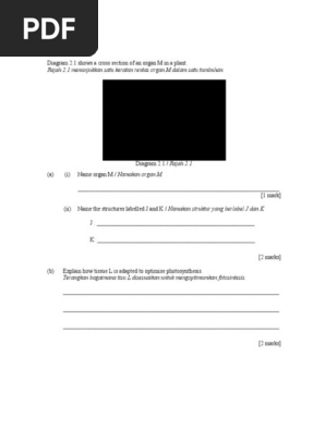 Structur 1.1 and 1.2 Practice Trial  PDF  Plant Morphology  Anatomy