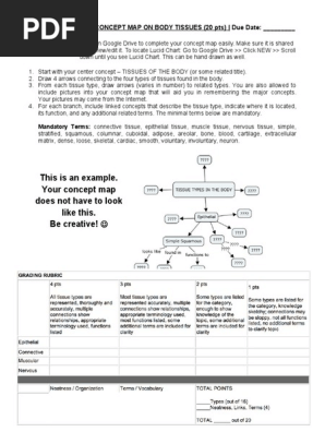 Body Tissues Concept Map