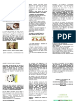 Evolución ideas Lamarck Darwin Wallace