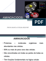 AMINIÁCIDOS-unisulma