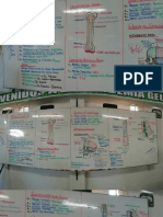 Curso Biologia - Clase Sistema Oseo !