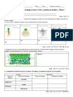 EF Plante CL 7 A Studii 2021