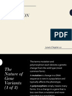 Gene Mutation: Lewis Chapter 12