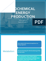 9. Biochemical Energy Production