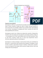 Sepermatogenesis Dan Oogenesis