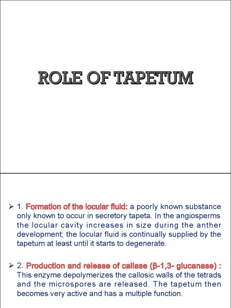 Role of Tapetum PDF Pollen Branches Of Botany