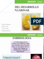 embriologia pulmonar