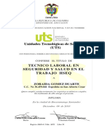 TÍTULO DE TÉCNICO EN SALUD Y SEGURIDAD LABORAL