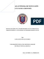Universidad Autónoma de Nuevo León: Facultad de Agronomía