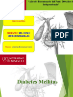 Diabetes-Mellitus-ppt