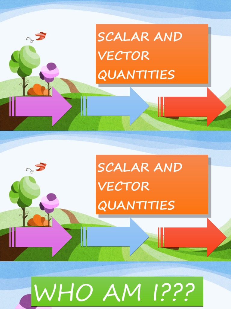 Scalar and Vector | PDF | Velocity | Euclidean Vector