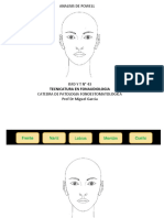 Analisis Facial 2