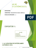 La Capacidad de Intercambio Catiónico (Cic) (Diapositivas) Corregido