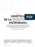Resistencia Antibiotica y Los Genes Conjugacion Transduccion