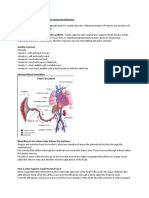 quiz 3 peds