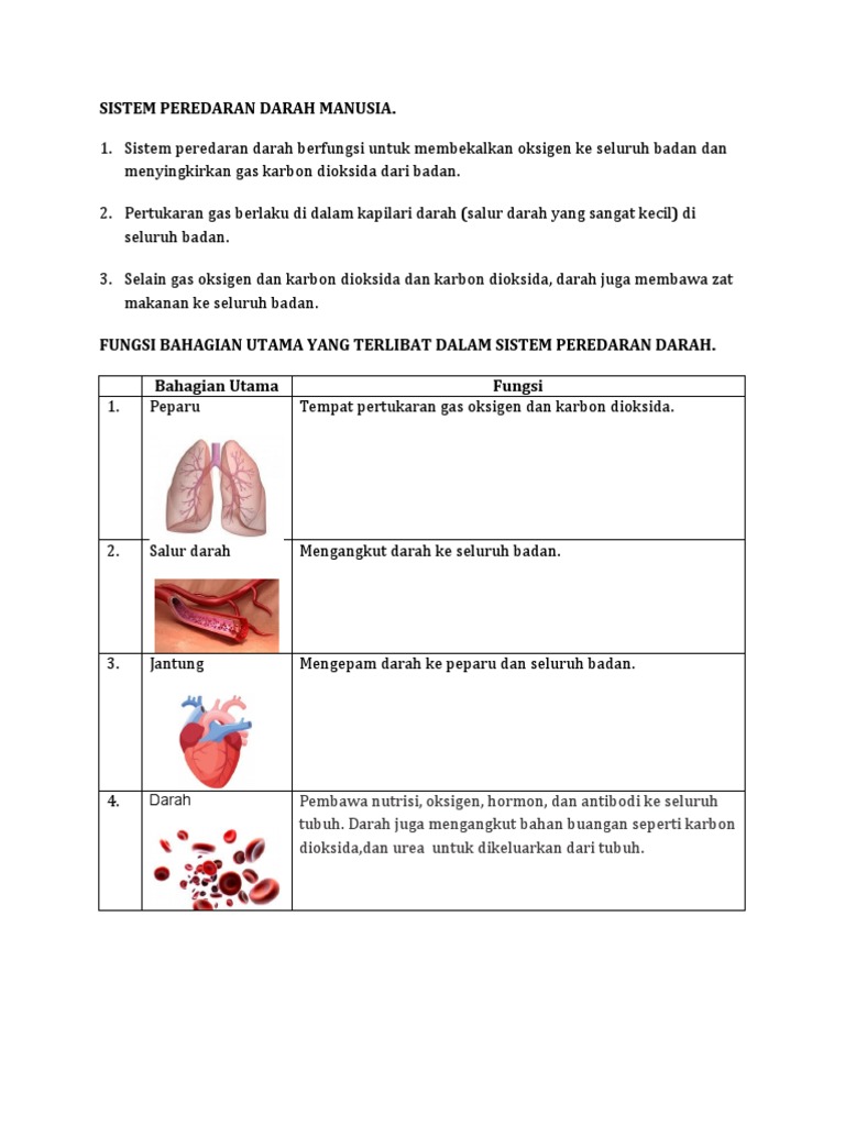 Nota Sistem Peredaran Darah Manusia Pdf