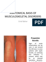 Anatomical Basis of Musculoskeletal Disorders