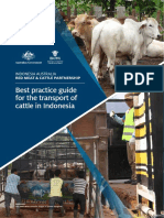 Vh7jo Best Practice Guide For The Transport of Cattle in Indonesia