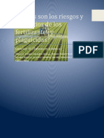 ¿Cuáles Son Los Riesgos y Beneficios de Los Fertilizántes y Pláguicidás?