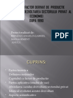 Capitalul Factor Derivat de Productie Brinzan Angelo Management Anul 1