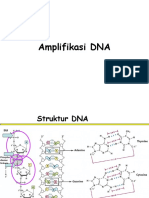 Amplifikasi DNA