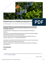 Produção e Comercialização de Mirtilo - MarketingAgricola - PT