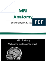 MRI Anatomy
