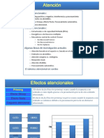 Tema 3 - Atención