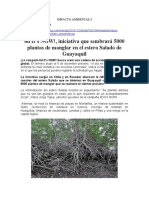 1.12.2019 6d Its NOW Iniciativa Que Sembrara 5000 Plantas de Manglar en El Estero Sal