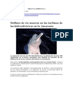 03.11.2019 Delfines de Rio Mueren en Las Turbinas de Las Hidroelectricas en La Amazonia