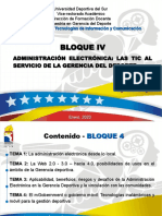 Bloque IV