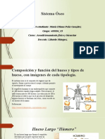 Diapositivas Acondicionamiento Fisico y Bienestar - Eliana Peña