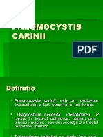 Curs IV PNEUMOCYSTIS CARINII