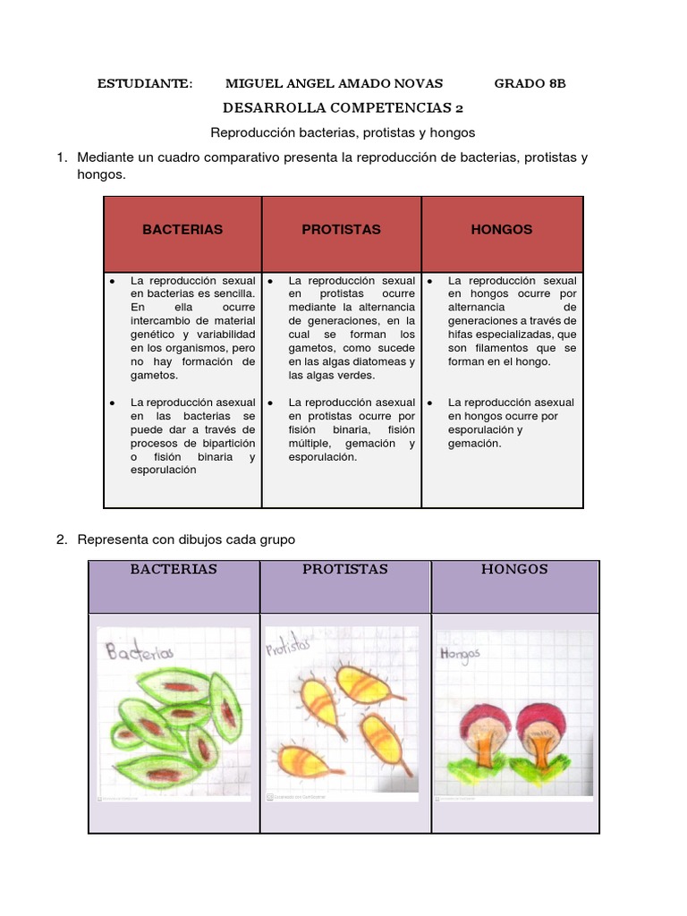 ACTIVIDAD. 2 CIENCIAS MIGUEL AMADO Con Correccion | PDF | Espora |  Reproducción sexual