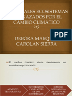 Cambio Climatico