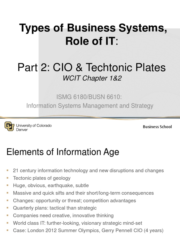 122Types of Business Systems, Role of IT PDF Chief Information Officer Strategic Management