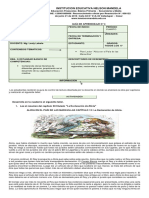 Guía 4 de Lectura Crítica 6°