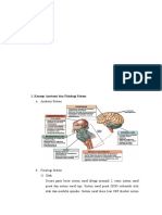 Konsep Anatomi Dan Fisiologi Sistem