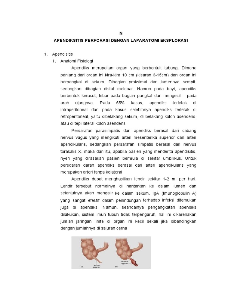 N Apendiksitis Perforasi Dengan Laparatomi Eksplorasi | PDF