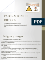 Valoracion de Riesgos