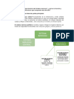 FORO 1 Sistema Nerviso 1 Semana