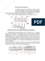 Actiunea Hidrogenului Asupra Materialelor Metalice