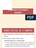 Company Accounts Shares
