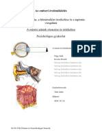 Biológiai Pszichológia Jegyzőkönyv - Érzékszervek