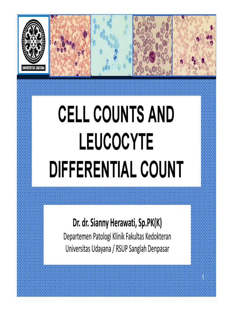 Cell Counts and Leukocyte Differential Guide | PDF | White Blood Cell ...