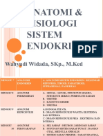 Sistem Endokrin