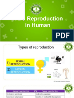 CH#9 Reproduction in Human