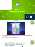 CH#11 Transport in Plants