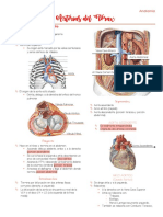 Anatomía de las principales arterias del tórax